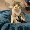 jennpowers2020 - @jennpowers2020 - TikTok
