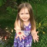 Jenn Templeman - @jenntempleman1977 - Instagram