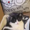 JennTemple - @jennptemple - TikTok