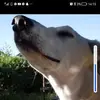 jennabee123 - @jennatownsend60 - TikTok