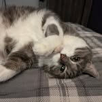 Jenn Walters - @jennwalters40 - Instagram