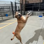 Jenn Walters Schaefer - @frbl77 - Instagram