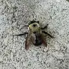 JennaBee - @jennabee723 - TikTok