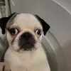 user4101766114989 - @jenna_berlin - TikTok