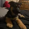Jeana Blanton - @jeana.blanton - TikTok