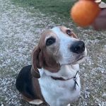 Jenna Brophy - @mamajenna567 - Instagram