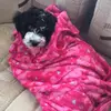 jennaandlucybryson19 - @jennaandlucybryson19 - TikTok