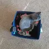jennaburk72 - @jennaburk72 - TikTok