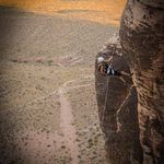 Jenny Busby-Benson - @wildflowerbuzzgirl - Instagram