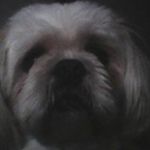 gloria-best-nana - @jennacasper1976 - Instagram