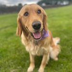 Jenna Cave - @jenna_cave - Instagram