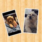 Jenna Chaplin - @jbean2008 - Instagram