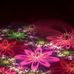 Jenna Childs - Facebook