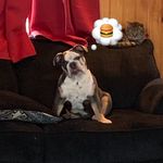 Jenna Cochran - @blue_butter - Instagram