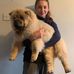 Jenny Collinson - Facebook