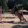 Jenna.Compton - @jennacomptonvvxbpegm - TikTok