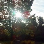 Jenna - @jenna_cramer3 - Instagram