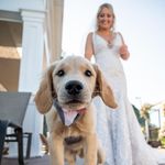 Jenna Crane - @jennycrane - Instagram