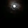 JennaCrane - @franeguqwoy - TikTok