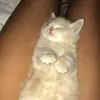 Jenna - @jennaacross - TikTok