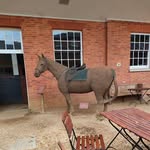 Jenny Crossley - @jennyinwiltshire - Instagram