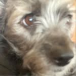 Jenna Daigle - @daigle_jenna - Instagram