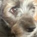 Jenna Daigle - Facebook