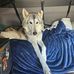 Jenny Daigle - Facebook