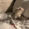 Jenna - @jennaldailey - TikTok
