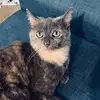 jennadeal15 - @jennadeal15 - TikTok