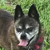 Jenny Diehl - @jenny.diehl - TikTok