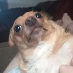 jenna draper - @jeiner_weiner479 - Instagram