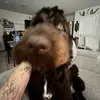 Jenna - @jennaduran_ - TikTok