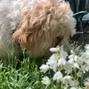 jennateden - @jennateden - TikTok