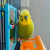 Jenna Erickson - @jenna.erickson5 - TikTok