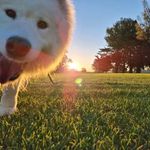 Jenna floyd - @jen_traveladdict - Instagram