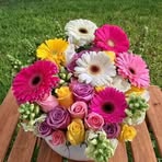 Jenny Forrest - Facebook