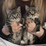 Jenna Gibson - @jennagibson74 - Instagram