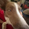 jenna - @jenna.glynn - TikTok