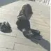 jenngreenleaf - @jenngreenleaf - TikTok