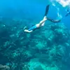 Jenna - @halliday.jenna - TikTok