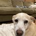 Jane Hamlett - Facebook