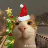 Jenna Harms - @jenna_harms - TikTok