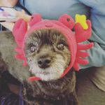 Jenna Hebert - @insta.sees - Instagram