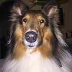 Jenna Hebert - @jennas_bennas_spams - Instagram