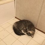 Jenna Hebert - @trinityhebert75 - Instagram