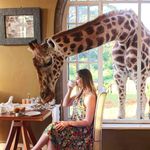 Old Acct: Follow @jennaheller - @chefjennaheller - Instagram