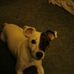 Jeana Herron - Facebook