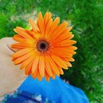 Jenna Hurst - @jennahurst01_ - Instagram