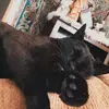 jennajosephhhh - @jennajosephhhh - TikTok
